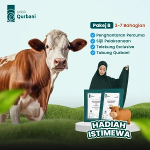 PAKEJ B Qurban [LEMBU] 3 - 7 Bahagian