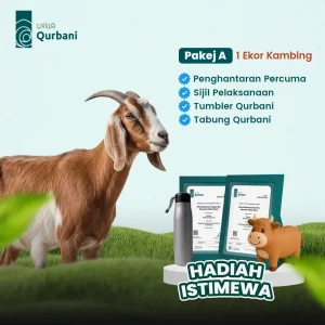 PAKEJ Qurban [KAMBING] 1 Ekor